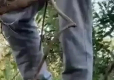 Hot Amateur Boy Sucks and Rims in the Woods