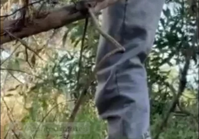 Hot Amateur Boy Sucks and Rims in the Woods