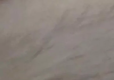 New Cum Video with Vibrating Dildo in My Ass