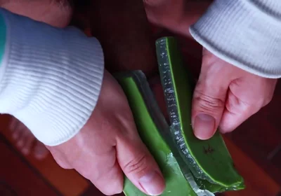 Using Aloe Vera as a Fleshlight