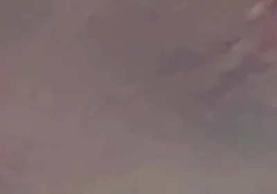 Cum Through Zorba