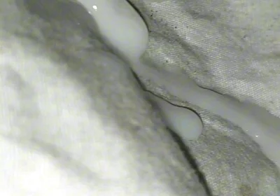 Huge Sperms Out of His Penis, an Young Boy