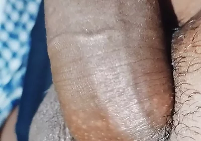 Penis