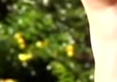Latino Twink Fuckin Barebac with Friend