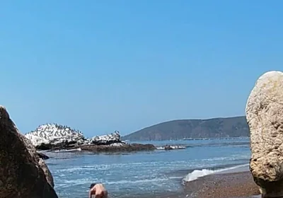 Sexy Time at the Nude Beach at Pirates Cove!