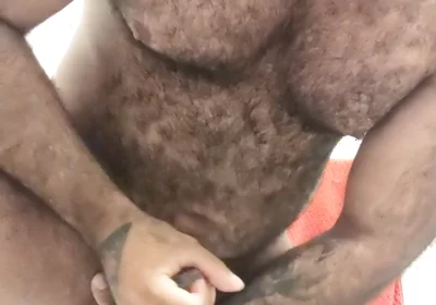 Hairy Bear