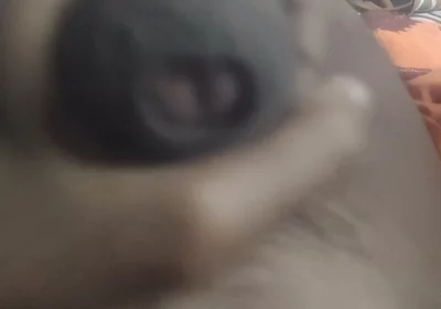 Aunty's Pussy Became Wet After Seeing My Penis.