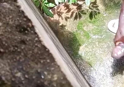 BBC Creampies on the Floor