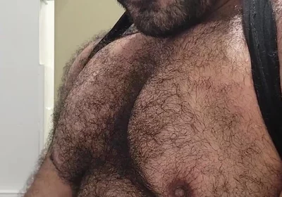 Solo Bear
