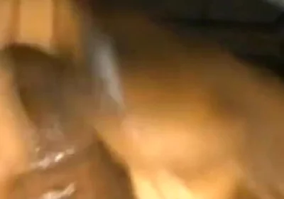 Solo Dick Massage Intense Cumshot