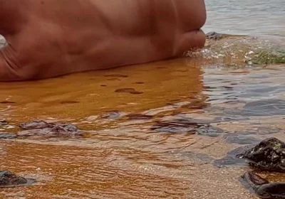Ladysilva on the Beach Getting Naked What a Hot Tanned Ass with a Sexy Mark