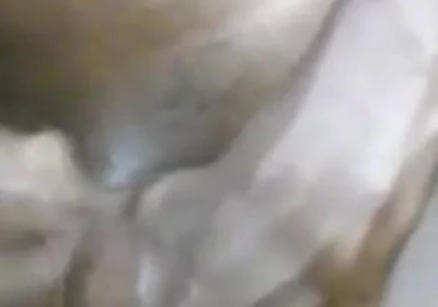 Cumming Hard Stroking My BBC