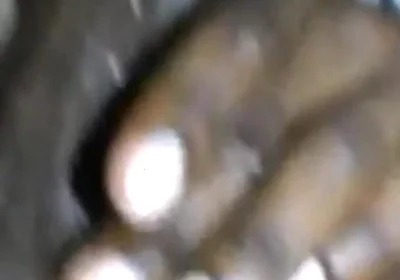 So Horny Stroking My BBC with Both Hands Cumming Hard