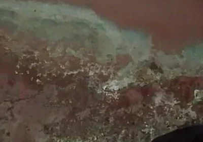 The Dark View of African Black Guy's Masturbation