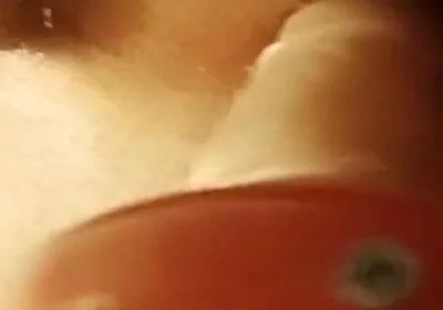 Ass Fucking