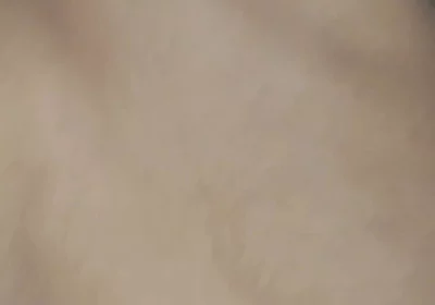 My Personal Sex Buddy