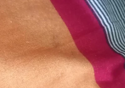 Desi Boy Anal Hole