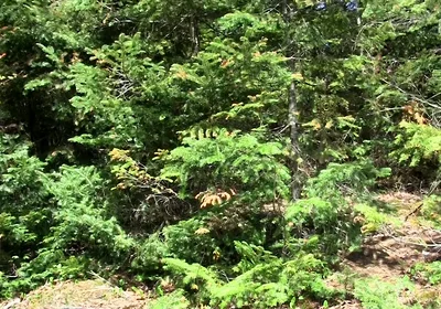 An Outdoor Cum Eruption!