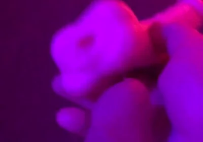 Fun Toy Play