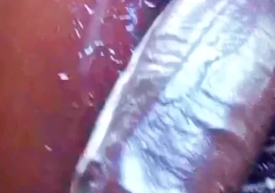 Slut Boy with a Really Huge Dick