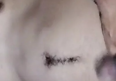 Ass Hole Show