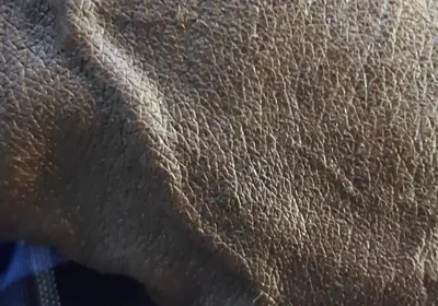 Veiny BBC Flashing