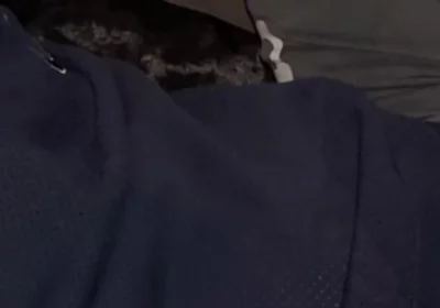 Sweaty Sock Deepthroat - Sniffing - Swallowed
