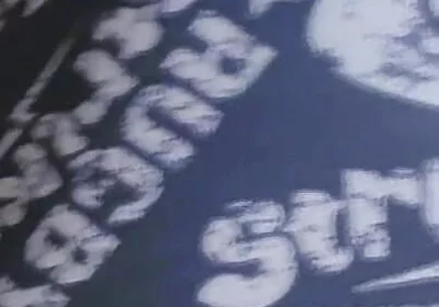 Gray Boxer and White Socks (video 1)