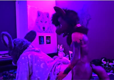 This Submissive Furry Bunny Slut Is Getting Pegged By A Furry Wolf So He Knows His Place