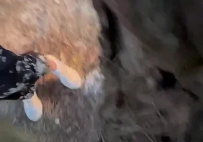 Amateur Guys Cruising for Sex