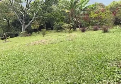 Horny Guy with Glasses Shows You His Morning Erection and Masturbates Outdoors - Andcristian