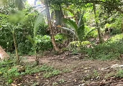 Young Pinoy Twink Jerks off Secretly Outdoors
