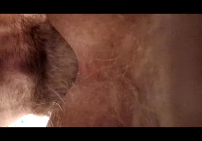 He Wanted to Have His Ass Licked