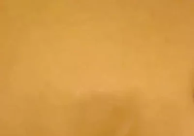Black Cock Shots