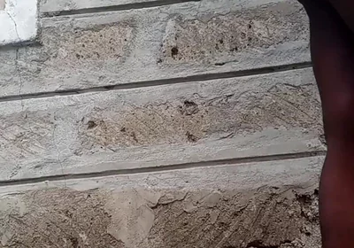 Naughty Horny Boy Fucking His Asshole with a Big Dildo Outside
