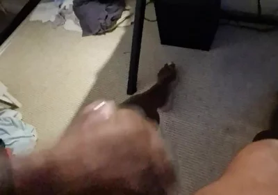 Had a Cum Last Night so I Could Relax