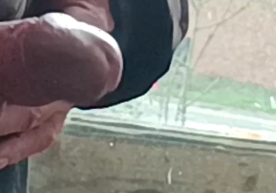 Masturbating and Cumming by the Window at Friend's House - Rockardglans