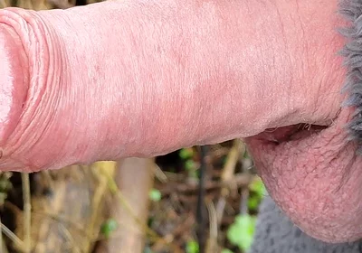 Outdoor cruising hard cock pissing onesie wank in the woods - Rockard Stepdaddy