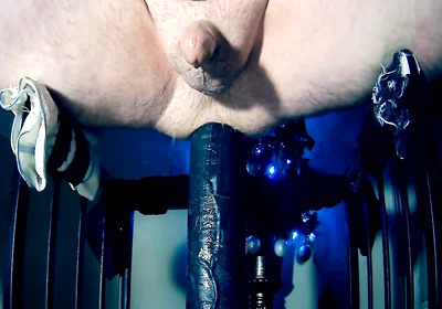 The Feeding Filling My Holes Desire Mr Hankey Toys