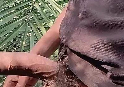 Indian Sexy Boy in Farmhouse