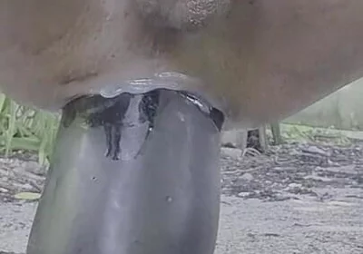 Extreme Pleasure