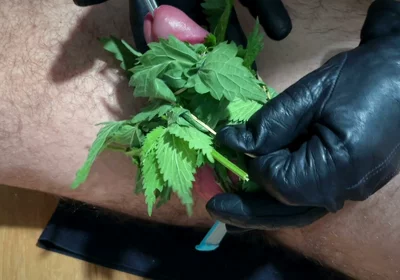 Cum with Nettles Inside Dick
