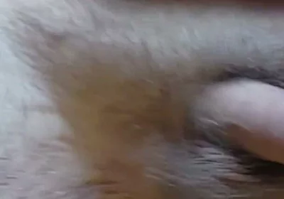 I'm Waving My Cock for You