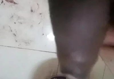 Close up