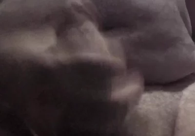 Handsome Mature Chubby with Big Fat Cock Masturbating Until I Cum a Lot in the Foreground for You Comments