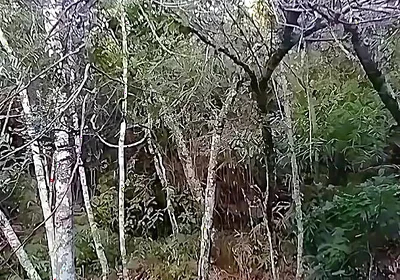 I Went to the Waterfall and Showed off Before Someone Came and Caught Me.