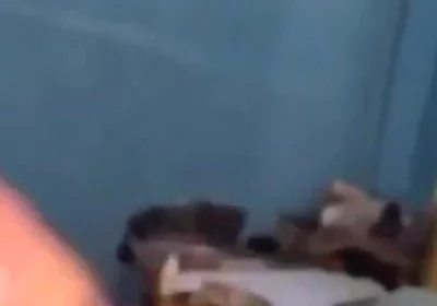 Haydenbbc Video