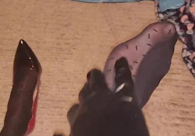Teasing My Pattern Black Pantyhose