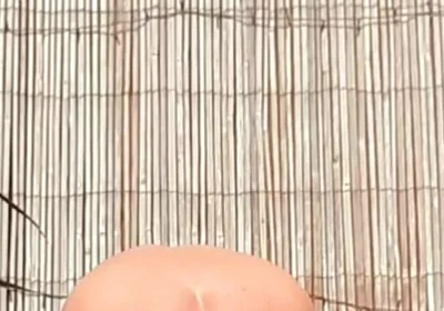 Anal Stretching