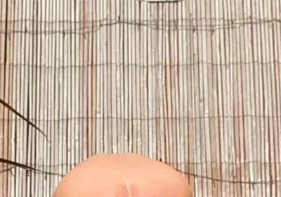 Anal Stretching